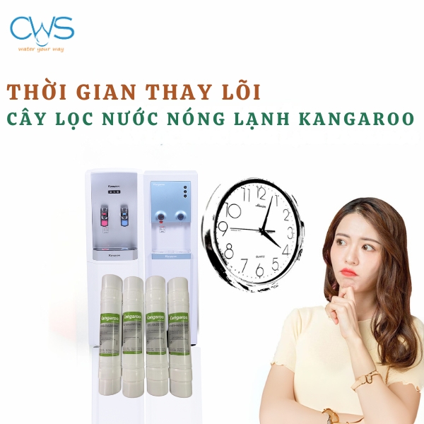 Bao lâu cần phải thay lõi lọc Kangaroo KG47-KG48