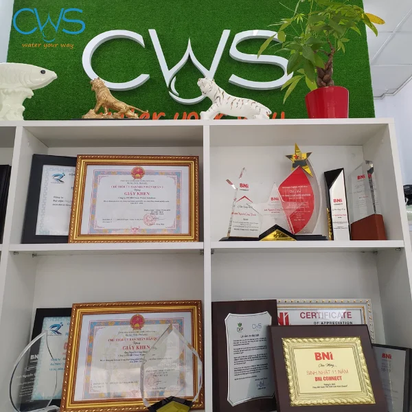 Các chứng nhận đại lý phân phối chính hãng của CWS