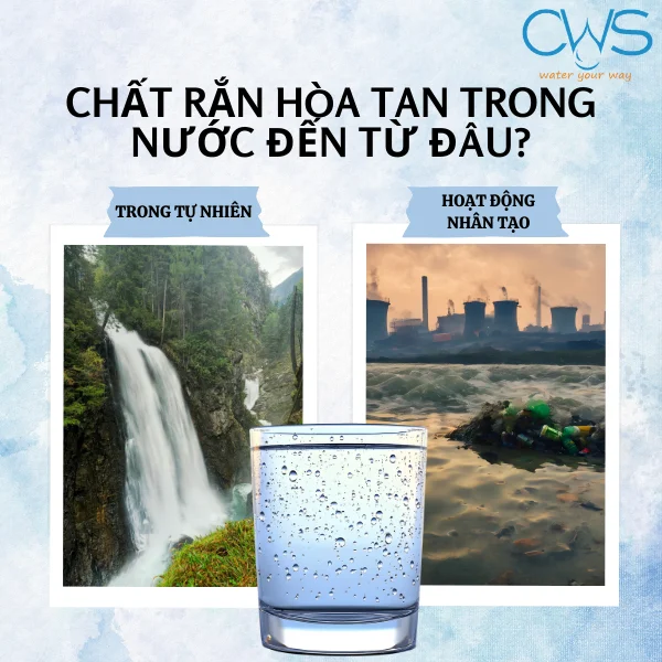 Chất Rắn Hòa Tan Có Nguồn Gốc Đến Từ Đâu