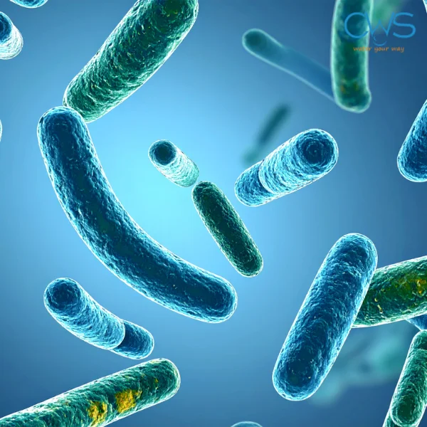 Hạn chế nguy cơ tồn đọng vi khuẩn và cặn bẩn