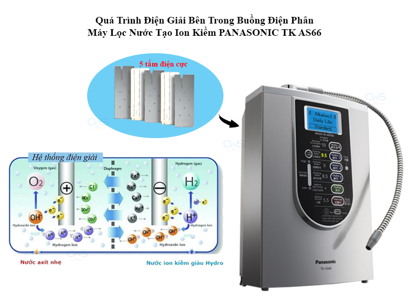 Sơ đồ cấu tạo hệ thống điện giải Máy lọc nước tạo ion kiềm Panasonic TK-AS66 qua-trinh-dien-giai-ben-trong-buon-dien-phan-may-loc-nuoc-tao-ion-kiem-panasonic-tkas66