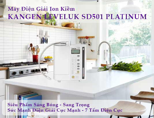 Máy điện giải ion kiềm Kangen Leveluk SD501 Platinum