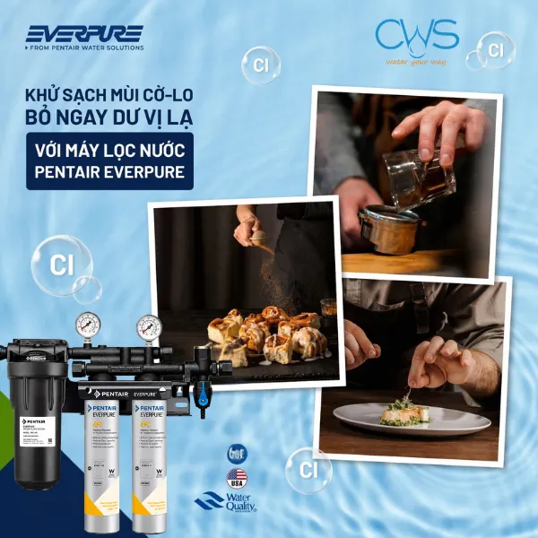 Máy Lọc Nước Pentair Everpure QC7I PF Twin 4FC Kiểm Soát Chất Lượng Nước Đầu Vào Giữ Nguyên Vẹn Chất Lượng Đồ Uống
