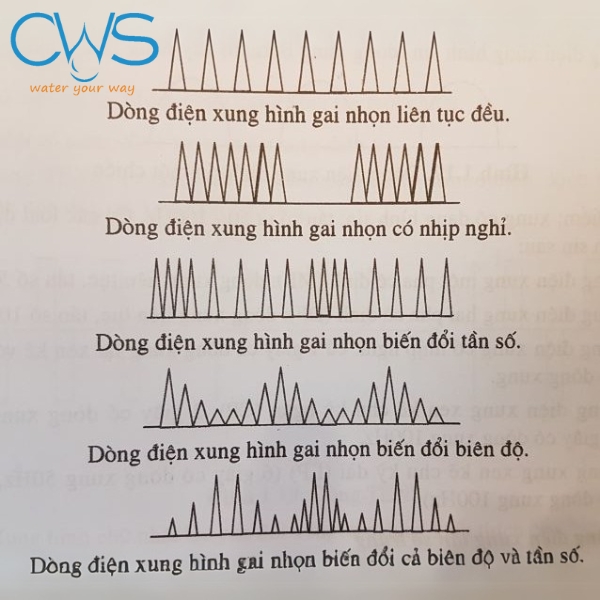 Nguyên lý điện trường trị liệu là gì