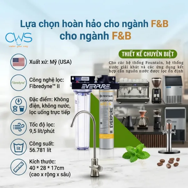 Những Lợi Thế Đáng Chú Ý Của Pentair Everpure 4FC-S Trong Việc Đáp Ứng Tiêu Chí Chất Lượng Ngành F&B