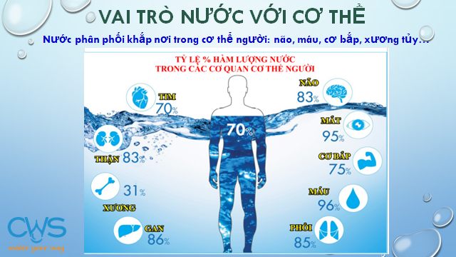vai trò của nước đối với cơ thể