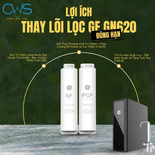 Tầm Quan Trọng Của Việc Thay Lõi Lọc GE GN620 Đúng Hạn