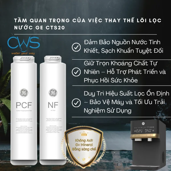 Tầm Quan Trọng Của Việc Thay Thế Lõi Lọc Nước GE CTS20
