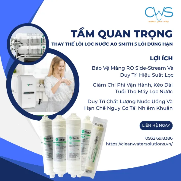 Tầm Quan Trọng Của Việc Thay Thế Lõi Lọc Nước AO Smith 5 Lõi Đúng Theo Yêu Cầu
