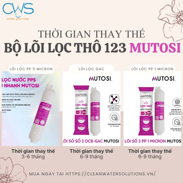 Thời Gian Thay Thế Bộ Lõi Lọc Thô 123 Mutosi