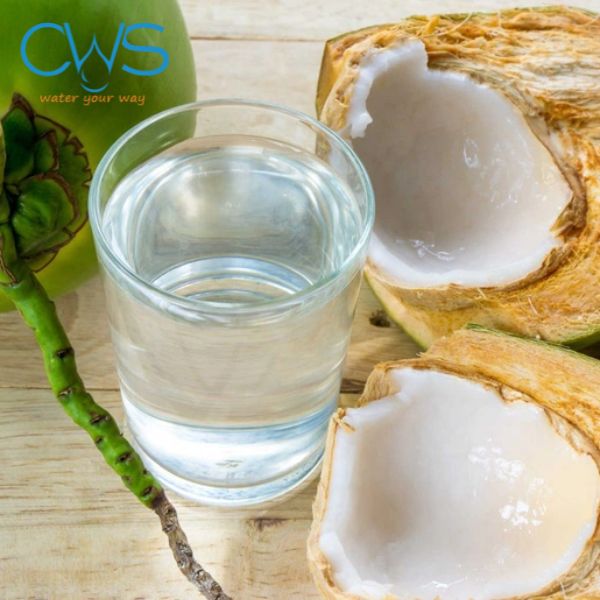 Uống nước dừa giúp bù nước khi chơi thể thao