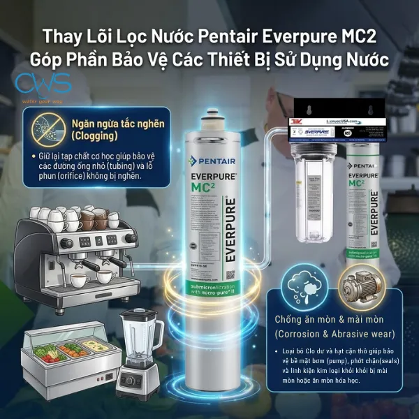 Vì Sao Cần Thay Lõi Lọc Nước Pentair Everpure MC2 Đúng Thời Điểm