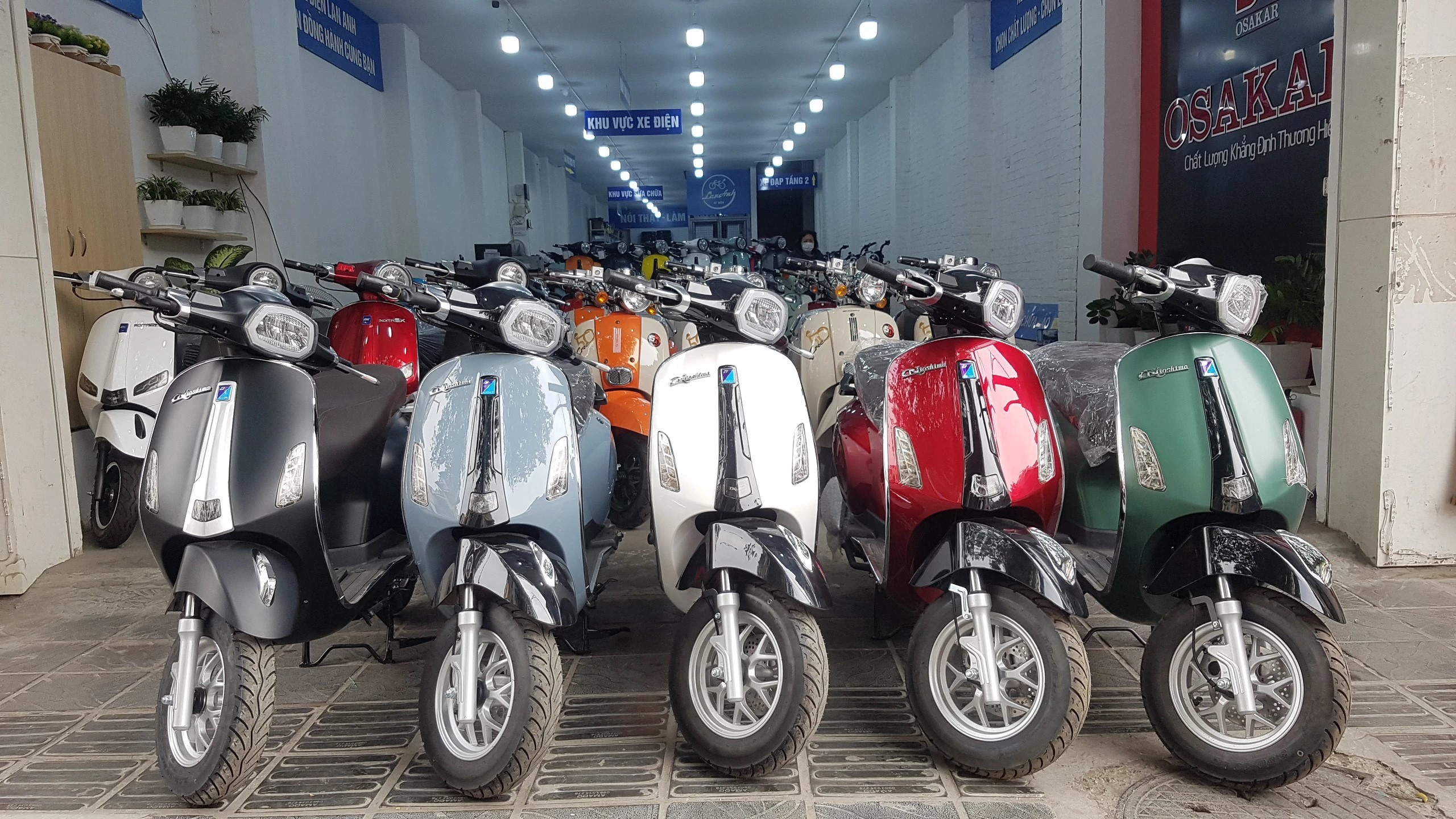 SYM-Kymco-Espero-Dibao-Ally-DK Bike-Hyosung-Daelim-Halim