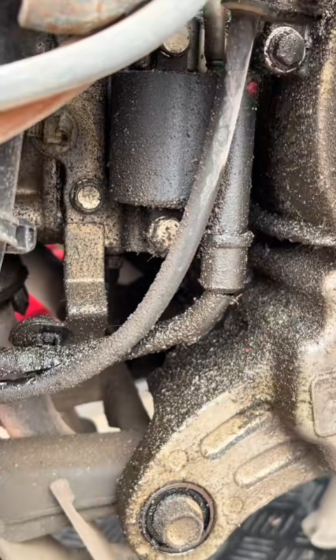 sh 2013 tan trang danang