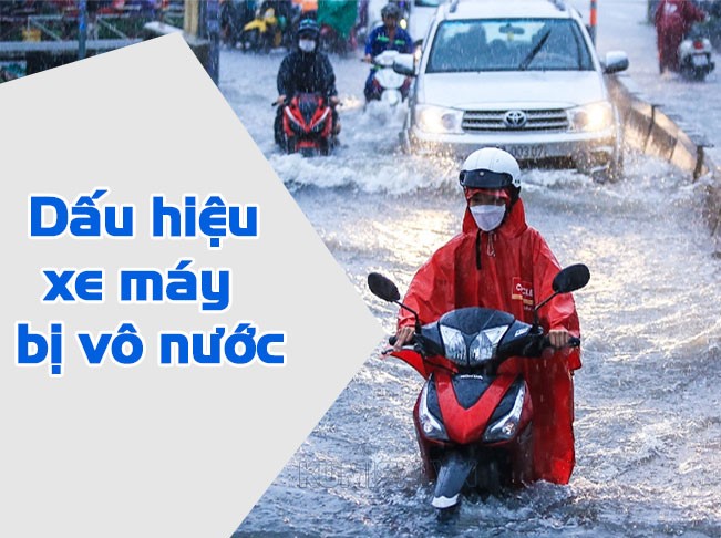 dau hieu xe may bi ngam nuoc