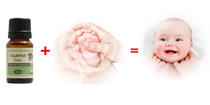 Công dụng không ngờ của tinh dầu tràm trong cuộc sống