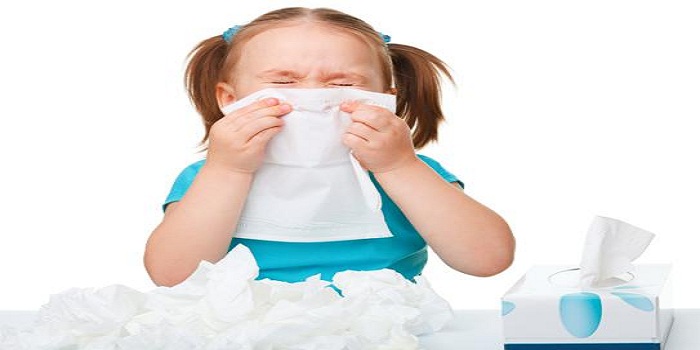 Công dụng không ngờ của tinh dầu tràm trong cuộc sống
