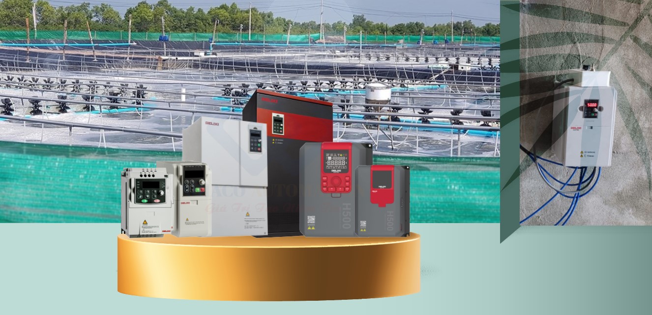 ap-dat-bien-tan-cho-dam-tom-tai-thanh-hoa