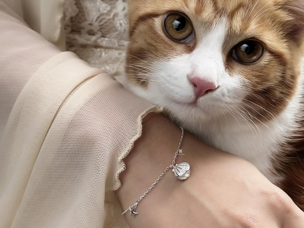 Lắc tay ngọc trai nổi bật mang đến cảm giác mới mẻ nhưng vẫn tinh tế