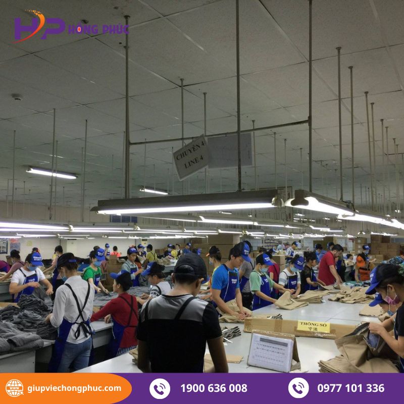 Các tiêu chí khi tuyển dụng lao động phổ thông