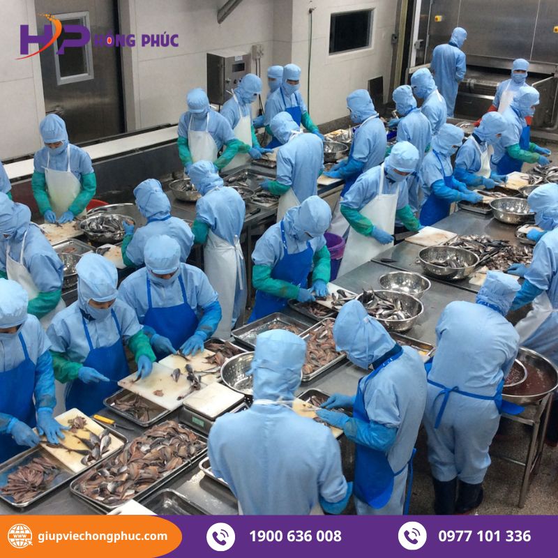 Dịch vụ cung ứng lao động phổ thông chất lượng và uy tín tại Hồng Phúc