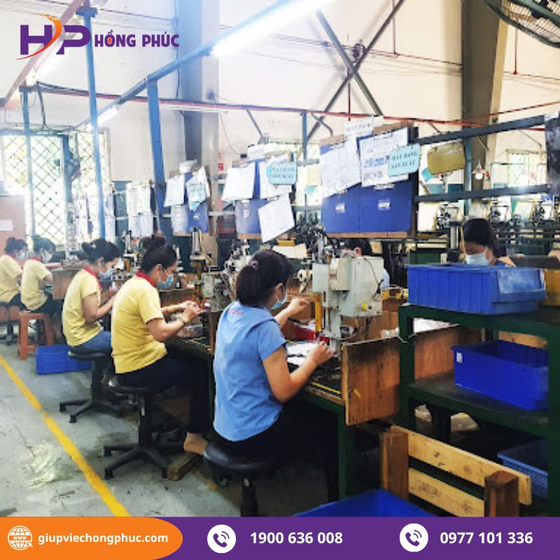 Lợi ích khi thuê cung ứng lao động phổ thông từ Hồng Phúc