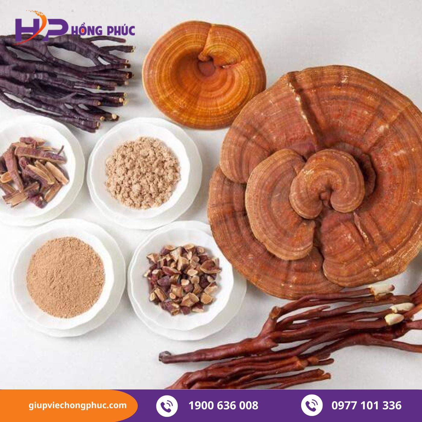 Mua gì tẩm bổ cho người già? Nấm linh chi