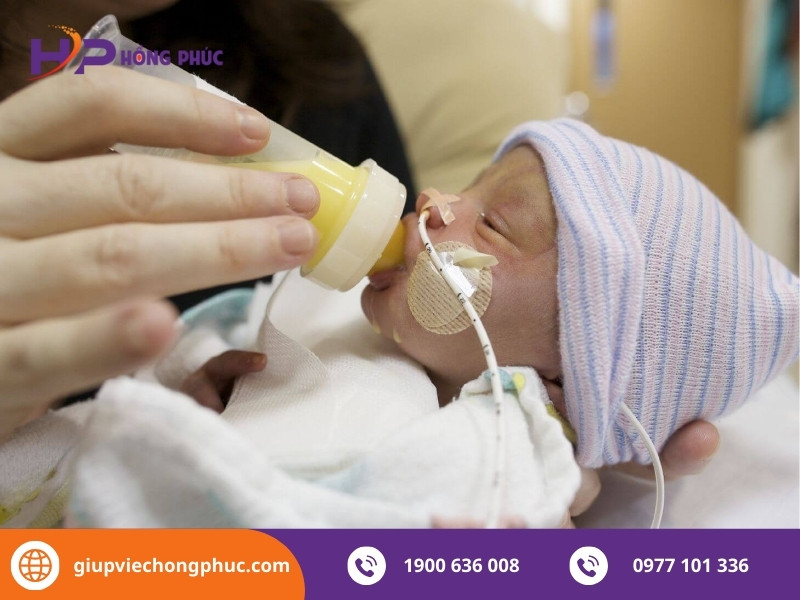 Kỹ thuật cho ăn và lịch trình cữ sữa