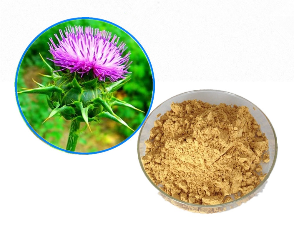 chất silymarin hỗ trợ điều trị gan