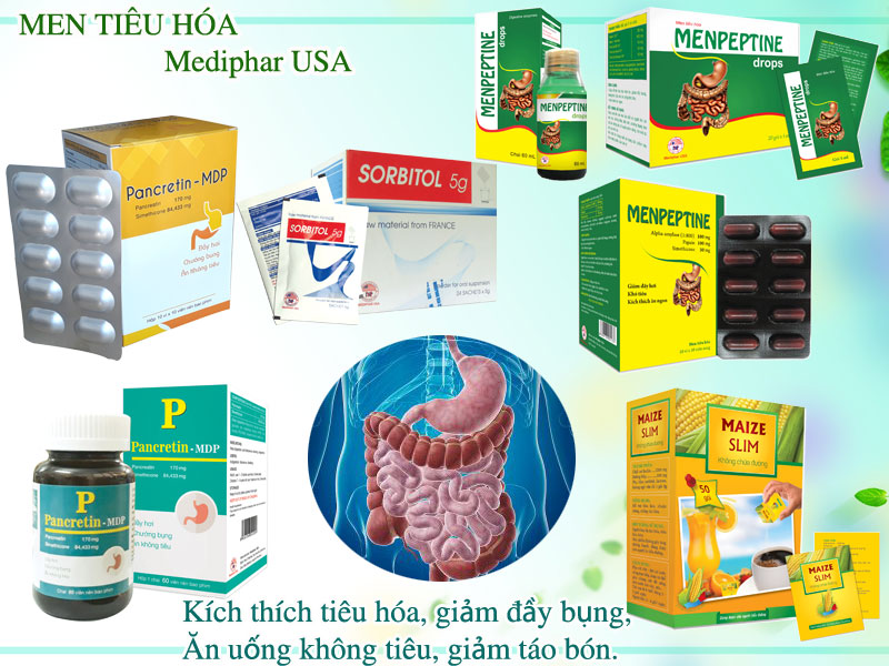 Khi rối loạn tiêu hóa thì sử dụng men vi sinh hay men tiêu hóa?