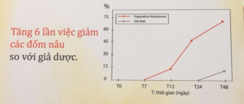 ly-do-thanh-phan-duong-xi-khong-the-thieu-trong-vien-uong-chong-nang