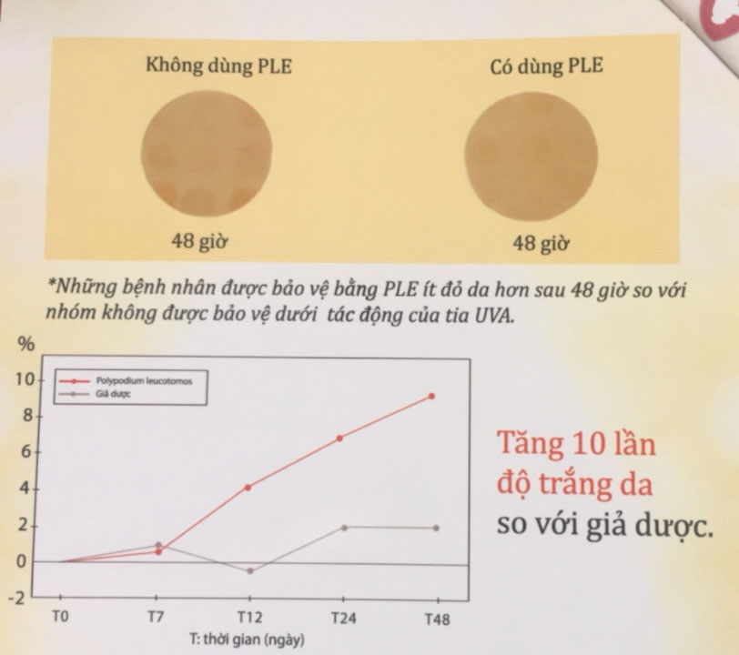 ly-do-thanh-phan-duong-xi-khong-the-thieu-trong-vien-uong-chong-nang