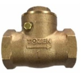 BRONZE SWING CHECK VALVE GSCV