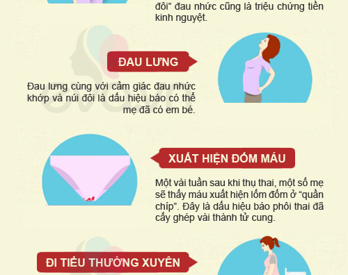dấu hiệu có thai