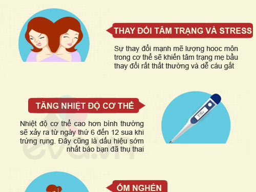 triệu trứng mang thai