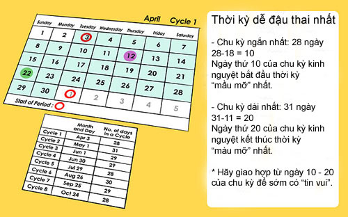 cách tính ngày rụng trứng dễ có thai