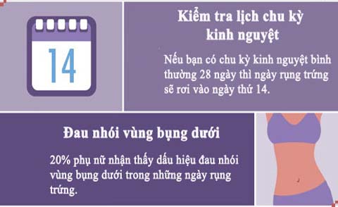 dấu hiệu nhận biết rụng trứng