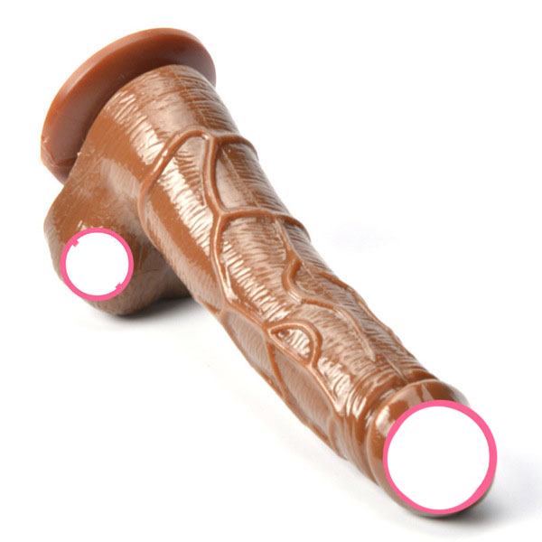 dương vật giả giá dán tường