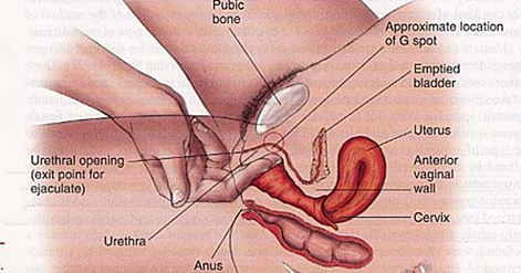 cách quan hệ bằng tay