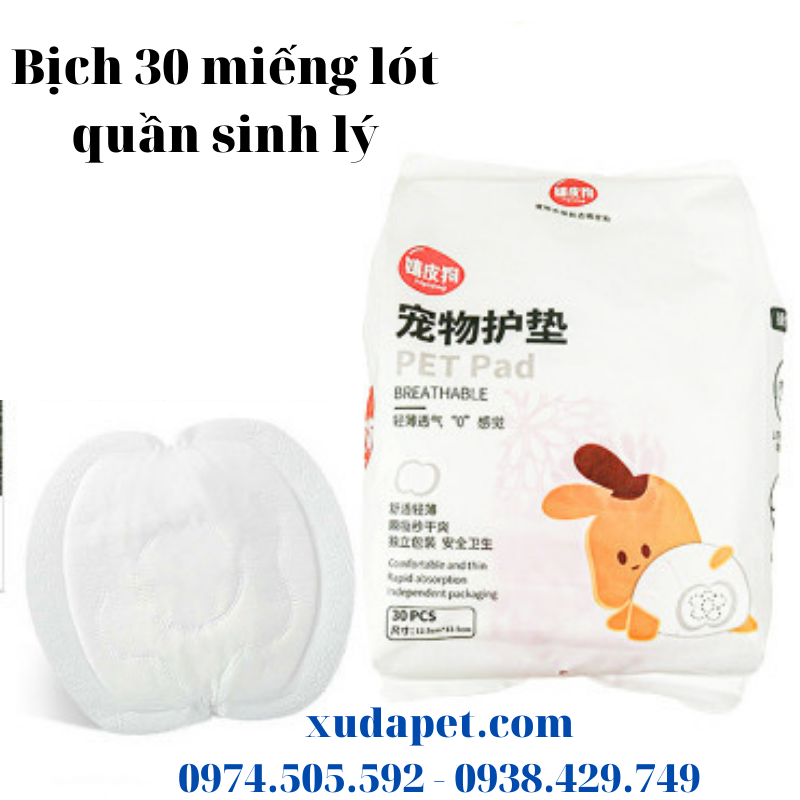 miếng lót quần sinh lý cho chó