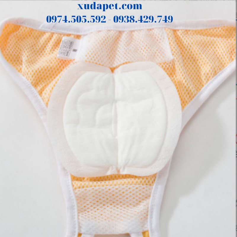 miếng lót quần sinh lý cho chó