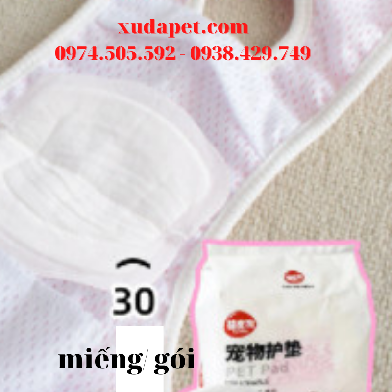 miếng lót quần sinh lý cho chó