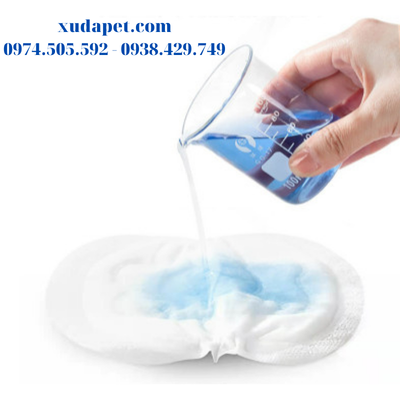 miếng lót quần sinh lý cho chó