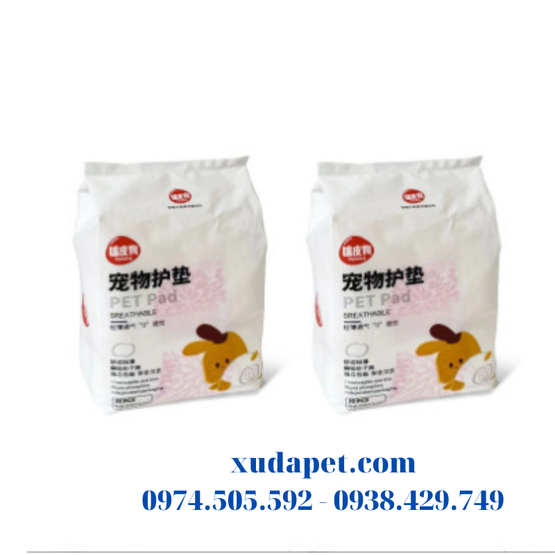 miếng lót quần sinh lý cho chó