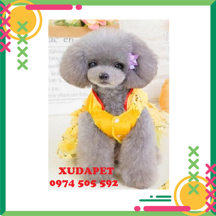 Váy đầm vàng siêu cute dành cho chó mèo Xudapet