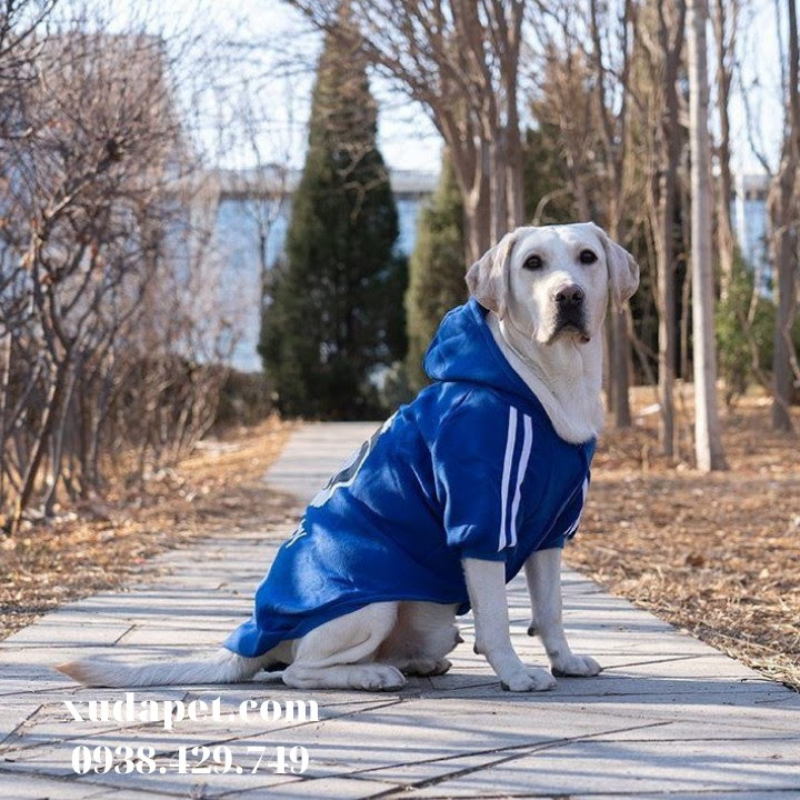 Áo Hoodie Cho Chó Lớn Dog Baby