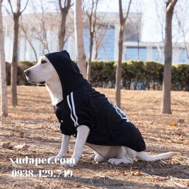 Áo Hoodie Cho Chó Lớn Dog Baby