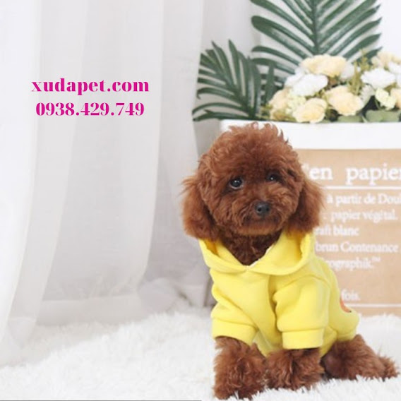 ÁO HOODIE HÌNH VỊT DONALD