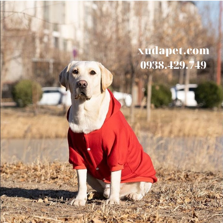 Áo Hoodie Cho Chó Lớn Red And Bull