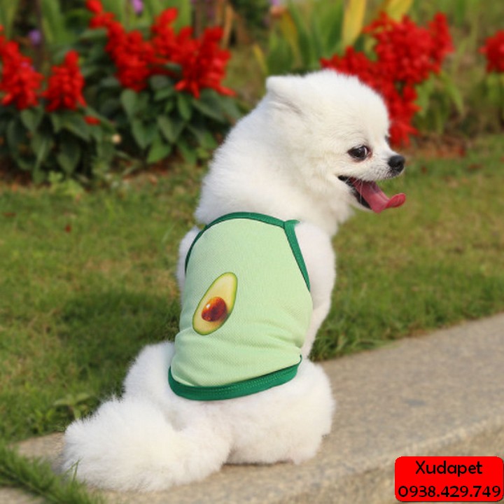 ÁO 2 DÂY VIỀN MÀU HỌA TIẾT ĐÁNG YÊU CHO CHÓ MÈO (GIAO MÀU NGẪU NHIÊN)